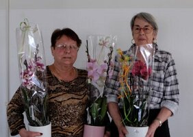 CAP-RISOTTO-S-7607-400x284