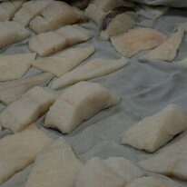 CAP-MERLUZZO-B-7324-400x284