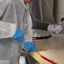 CAP-MERLUZZO-M-7363-400x284