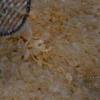 CAP-MERLUZZO-N-7341-400x284